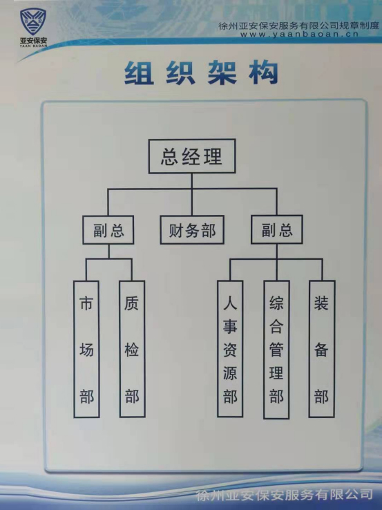 公司组织架构